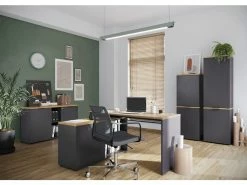 Coupon 🔔 Aktenschrank Vito Cary - 52/148/37 cm in grau 😀