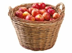 Bester Verkauf 🎉 Korb Akazien in braun 😀