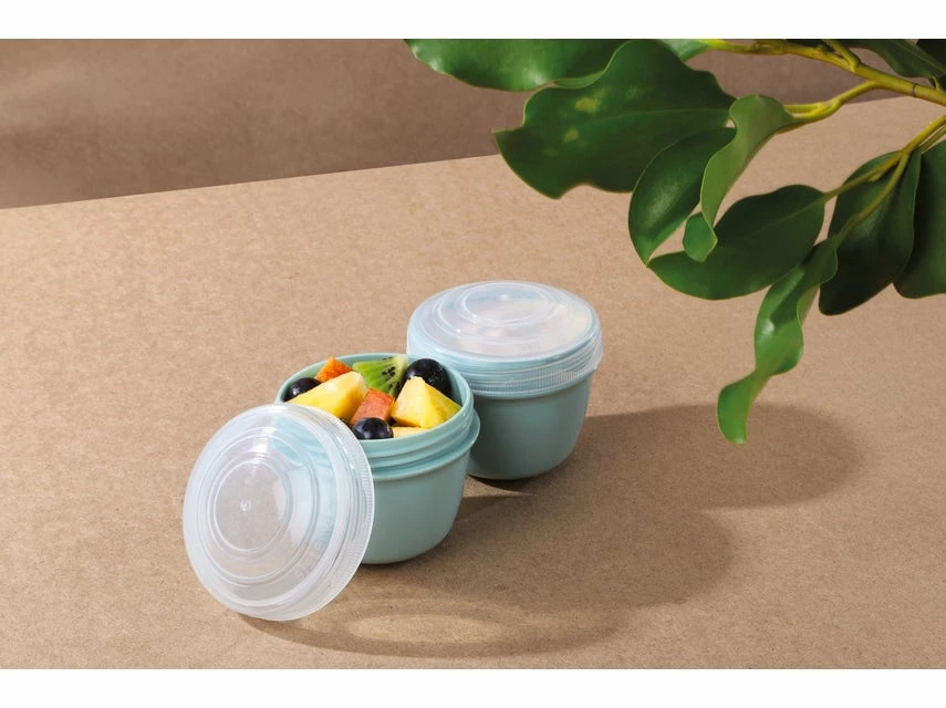 Neu 😍 Sistema Yogurt Pot "To Go" 2er Set in mehrfarbig 👍
